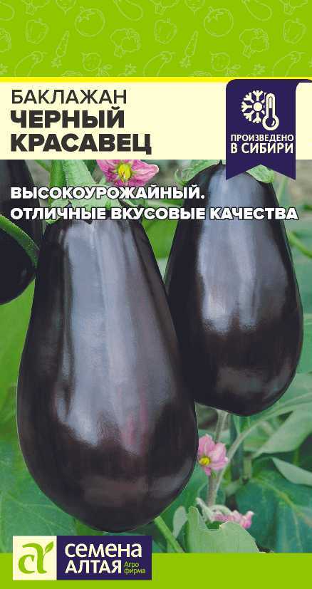 Семена Баклажан Черный Красавец, 0,1 г Семена Алтая - фото