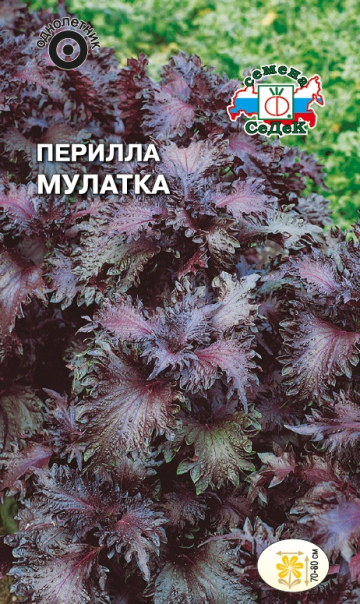 Семена Перилла Мулатка кустарниковая, 0,1 г - фото