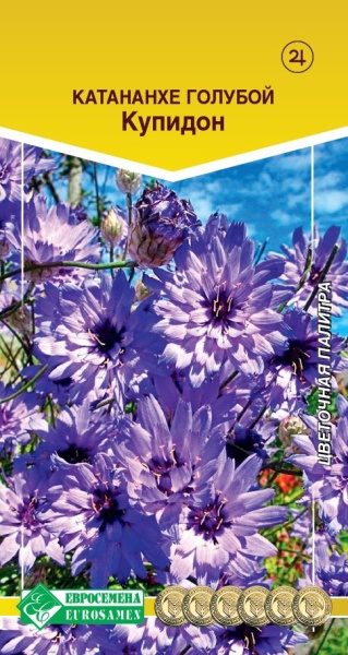 Семена Катананхе голубой Купидон, 15 шт - фото