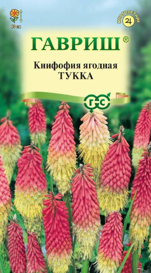 Семена Книфофия ягодная Тукка, 0,05 г - фото