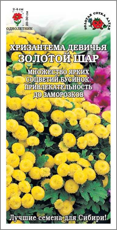 Семена Хризантема Золотой шар, 0,05 г - фото