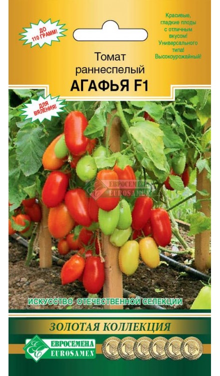 Семена Томат Агафья F1, 10 шт Евросемена - фото