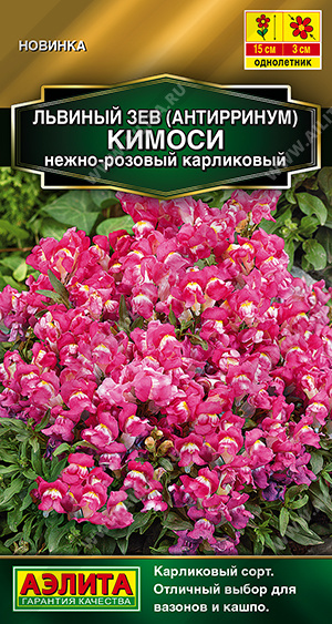 Семена Львиный зев Кимоси нежно-розовый карликовый, 0,05 г - фото