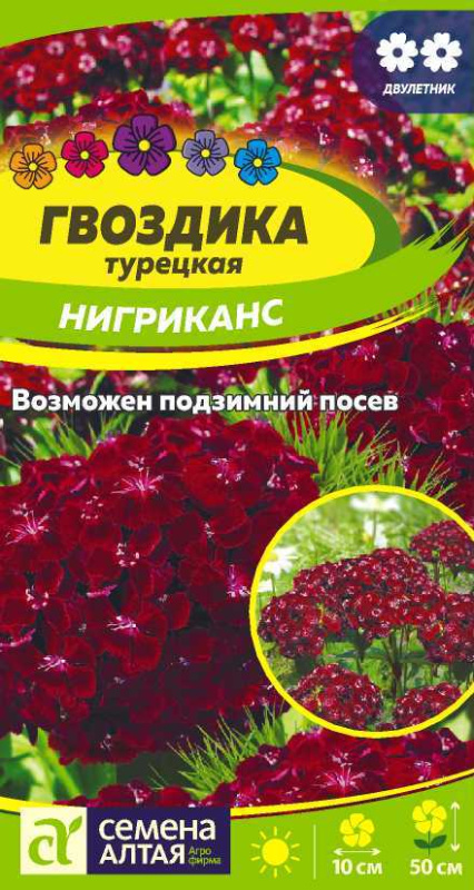 Семена Гвоздика турецкая Нигриканс, 0,05 г - фото