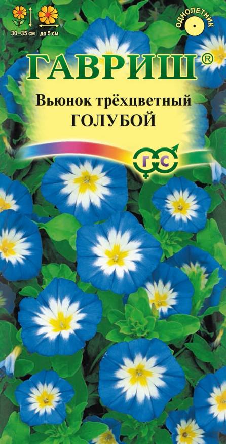 Семена Вьюнок Трехцветный голубой, 0,5 г - фото