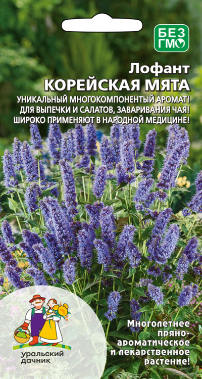 Семена Лофант Корейская мята, 0,1 г - фото