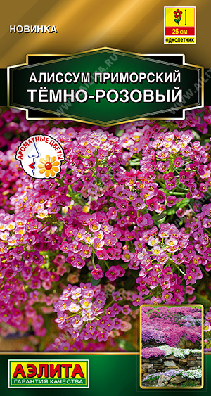 Семена Алиссум приморский тёмно-розовый, 0,1 г - фото