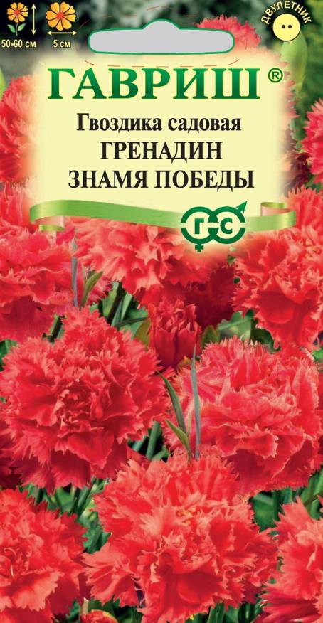 Семена Гвоздика садовая Гренадин Знамя Победы, 0,05 г - фото