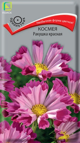 Семена Космея Ракушка красная, 0,1 г - фото