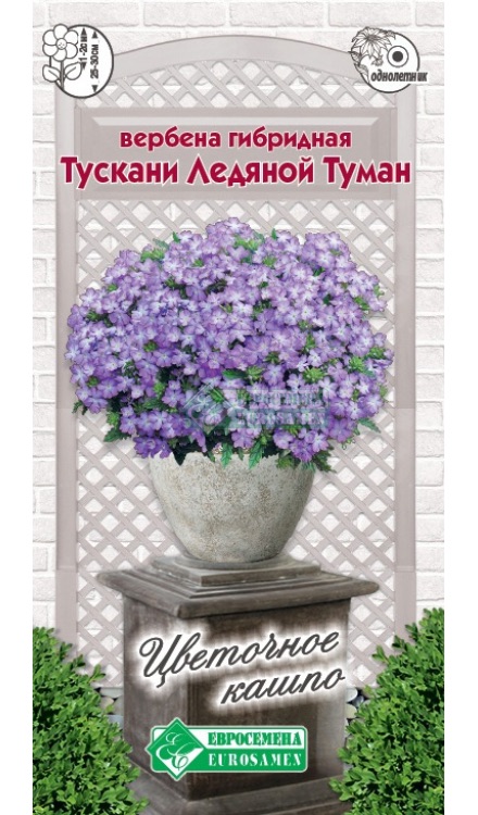 Семена Вербена гибридная Тускани Ледяной Туман, 10 шт - фото
