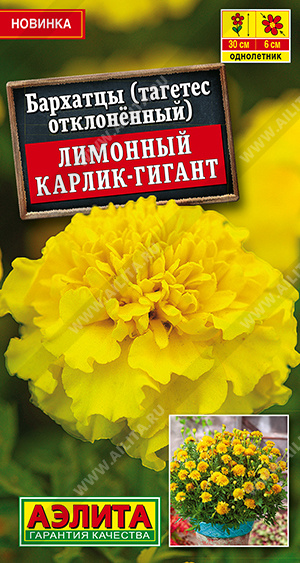 Семена Бархатцы Лимонный карлик-гигант отклоненные, 0,3 г - фото