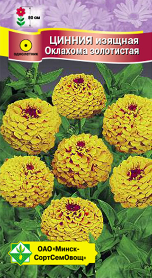 Семена Цинния изящная Оклахома Золотистая, 0,2 г - фото