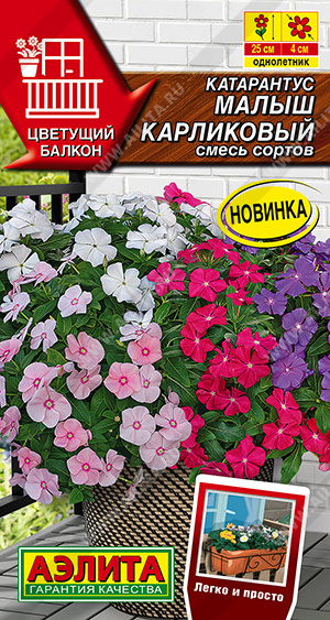 Семена Катарантус Малыш карликовый смесь сортов, 0,05 г - фото