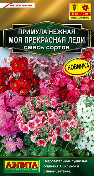 Семена Примула Моя прекрасная леди смесь сортов, 7 шт - фото