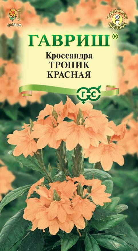 Семена Кроссандра Тропик красная, 3 шт - фото