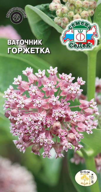 Семена Ваточник Горжетка, 0,05 г - фото