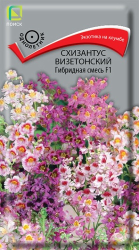 Семена Схизантус визетонский Гибридная смесь F1, 0,06 г - фото