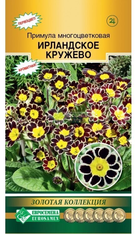 Семена Примула многоцветковая Ирландское кружево, 3 шт - фото