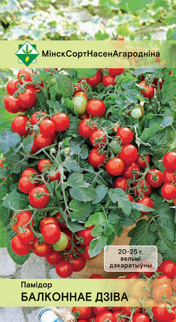Семена Томат Балконное чудо, 15 шт - фото