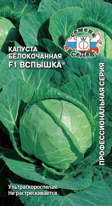 Семена Капуста Белокочанная Вспышка F1, 0,1 г - фото