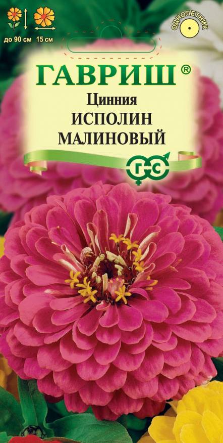 Семена Цинния Исполин малиновый, 0,3 г - фото