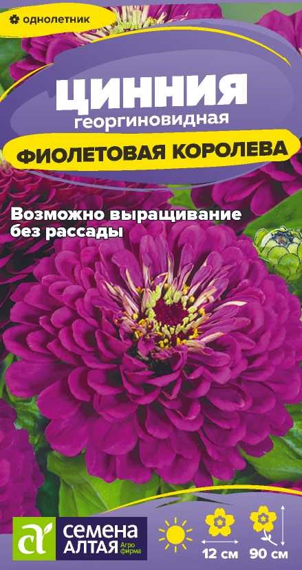 Семена Цинния Фиолетовая Королева, 0,2 г Сем Алтая - фото