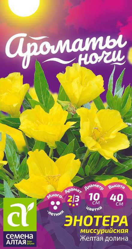 Семена Энотера Желтая долина миссурийская, 0,15 г - фото