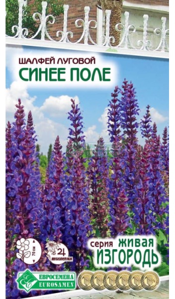 Семена Шалфей луговой Синее Поле, 0,1 г - фото