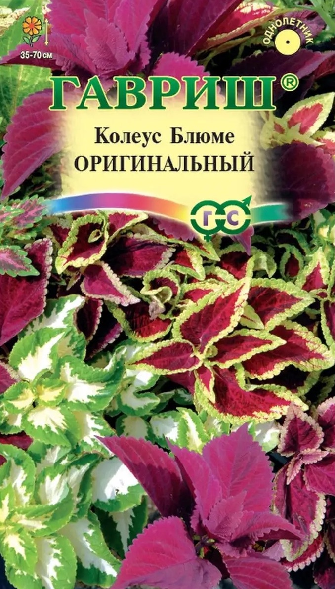 Семена Колеус Оригинальный смесь, 0,03 г - фото