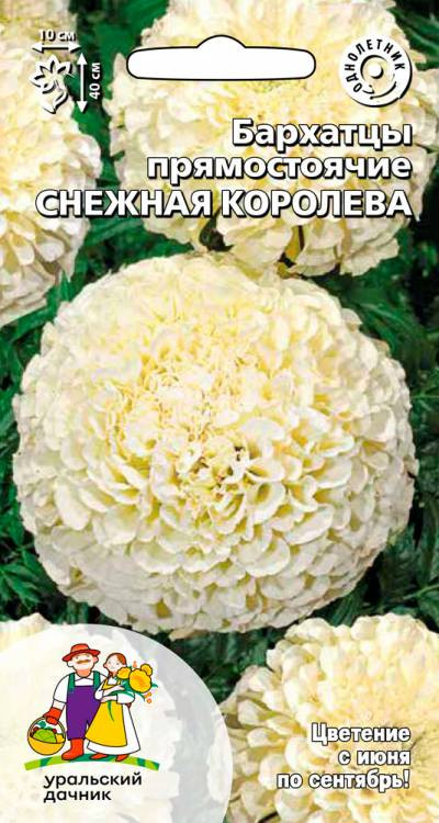 Семена Бархатцы прямостоячие Снежная королева, 12 шт - фото
