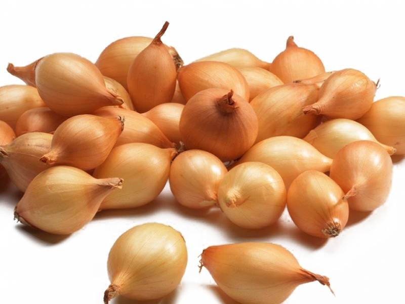Лук-севок Сеттон 10-17 мм, 500 г - фото
