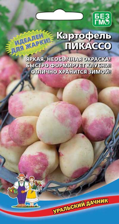 Семена Картофель Пикассо, 0,02 г УД - фото