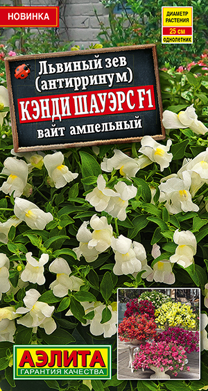 Семена Львиный зев Кэнди Шауэрс F1 вайт ампельный, 7 шт - фото