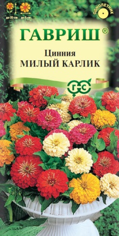 Семена Цинния Милый карлик смесь, 0,5 г - фото