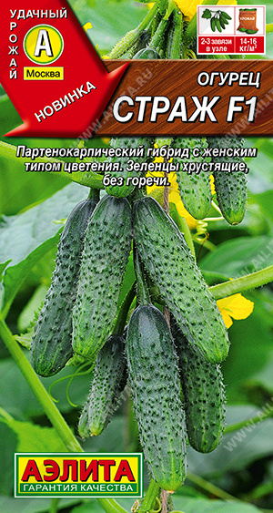 Семена Огурец Страж F1, 10 шт - фото