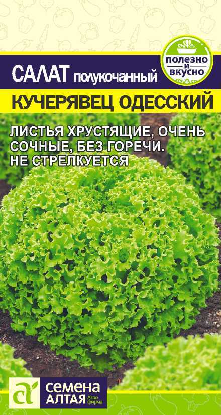 Семена Салат Кучерявец Одесский, 0,5 г Семена Алтая - фото