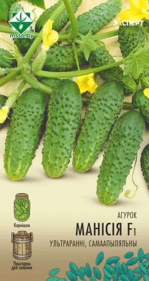 Семена Огурец Монисия F1, 7 шт (Эксперт) - фото