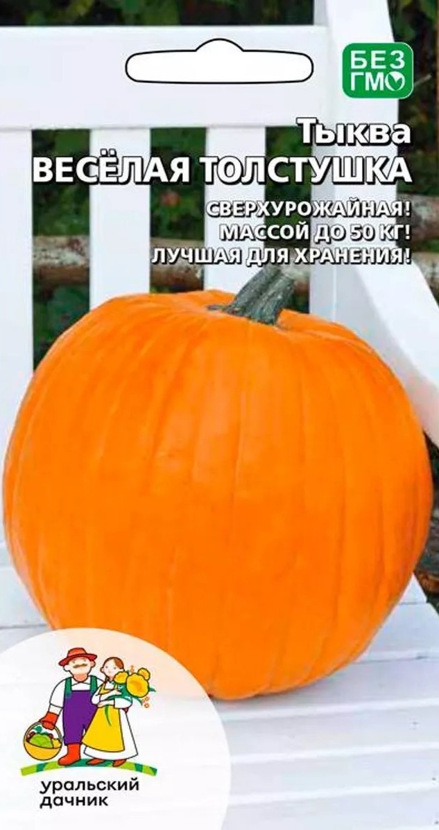 Семена Тыква Весёлая Толстушка, 6 шт - фото