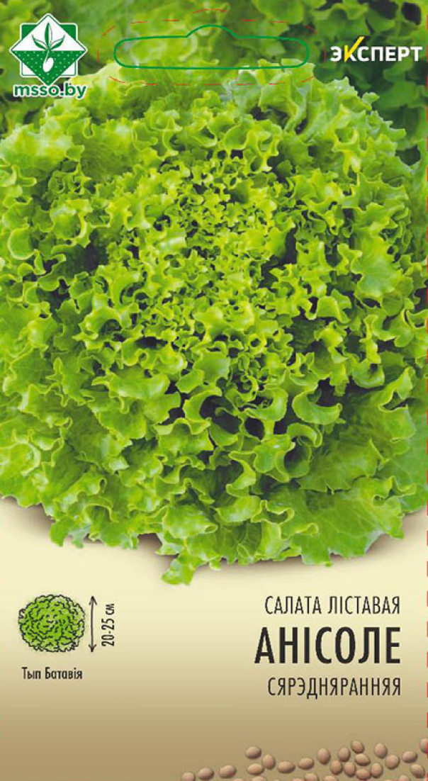 Семена Салат Аннисоле листовой, 20 шт - фото