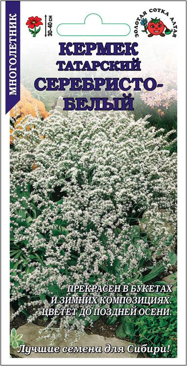 Семена Кермек Татарский Серебристо-белый, 0,05 г - фото