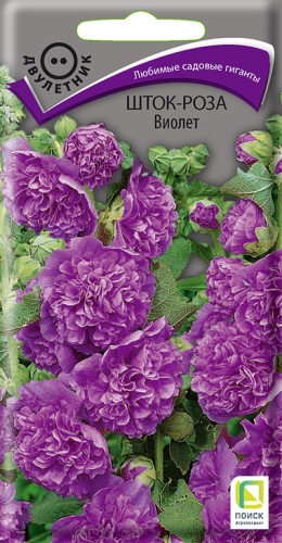 Семена Шток-роза Виолет, 0,1 г - фото