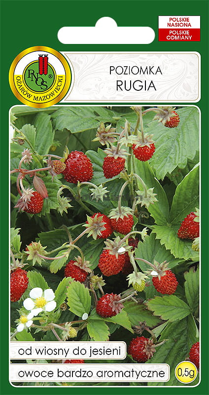 Семена Земляника Рюген, 0,5 г - фото