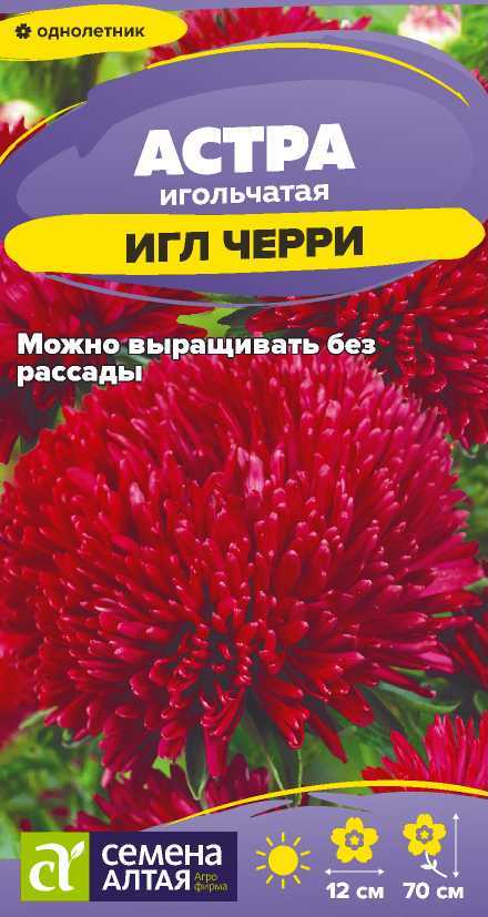 Семена Астра Черри Игл, 0,2 г - фото