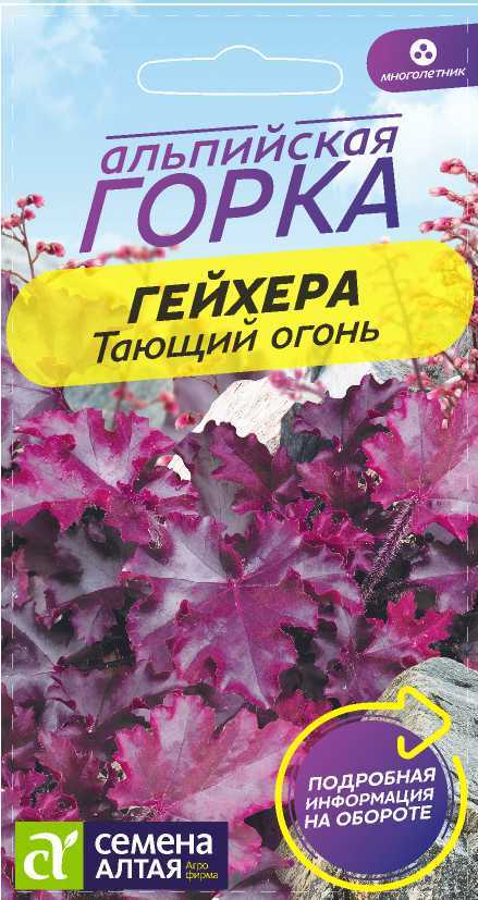 Семена Гейхера Тающий огонь, 5 шт - фото
