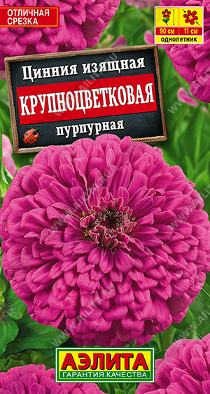 Семена Цинния Крупноцветковая пурпурная, 0,3 г - фото