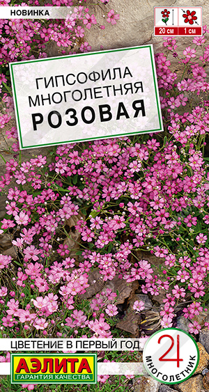 Семена Гипсофила Многолетняя розовая, 0,05 г - фото