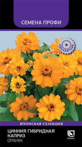 Семена Цинния гибридная Каприз Оранж, 7 шт - фото
