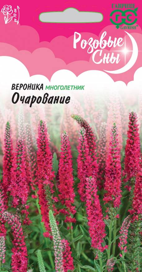 Семена Вероника длиннолистная Очарование, 0,02 г - фото