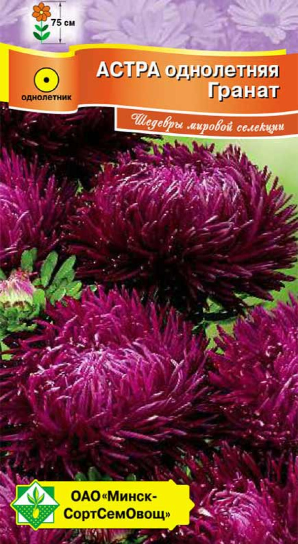 Семена Астра Ювелирная Гранат, 0,15 г - фото