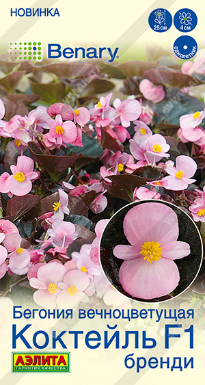 Семена Бегония вечноцветущая Коктейль F1 бренди, 7 шт - фото